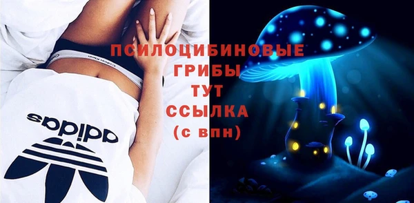 гашик Абинск