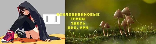 гашик Абдулино