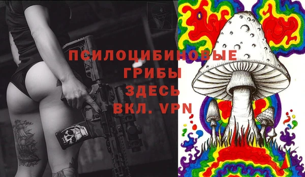 гашик Абинск