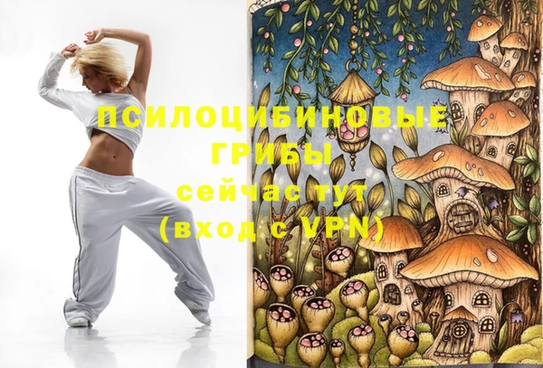 гашик Абдулино