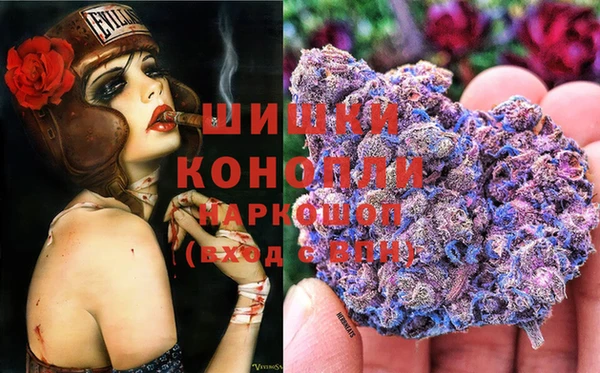 гашик Абинск